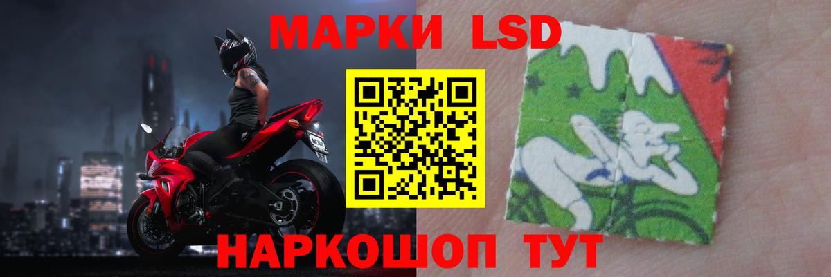 Электрогорск  mega вход  Вход с VPN  ЛСД экстази кислота  LSD-25 экстази кислота  ЛСД экстази 